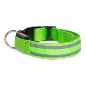 Led Band Dog Green